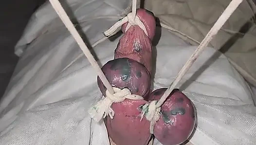 CBT gadis cantik dibungkus, ditimbang, dan di waxing