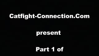 Catfight-Connection