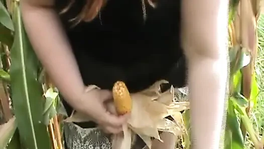 Ditemukan Dildo Pengganti