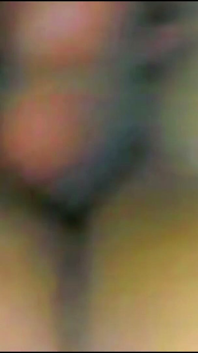 I Am So Horny Fuck Me As Hard As You Can And Make My Hairy Pussy Sore Red | Clip 3