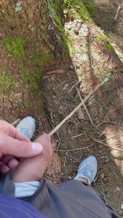 在森林里撒尿