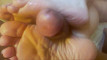 Pratinjau video