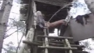 woman Pissing From A Tree House