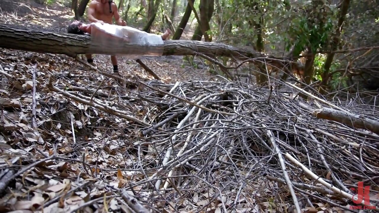 Deep Woods Domination Chapter 2