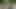 Privates Piss Video - Episode 7