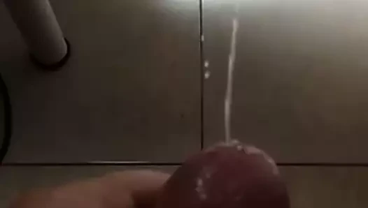 Büyük döl