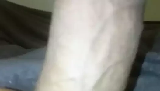 süper polla
