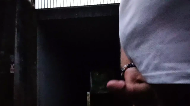 Wank in the public in the wood
