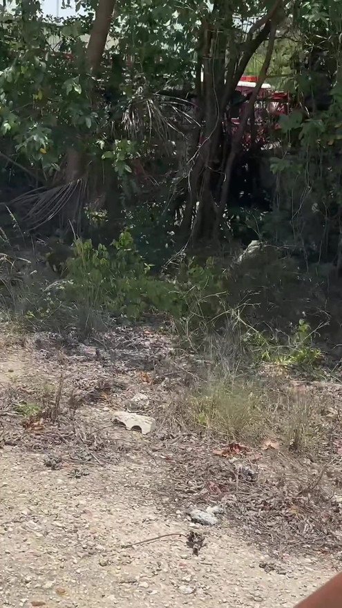 You Won’t Believe What I Did Outside Today! (part 1 of 2)