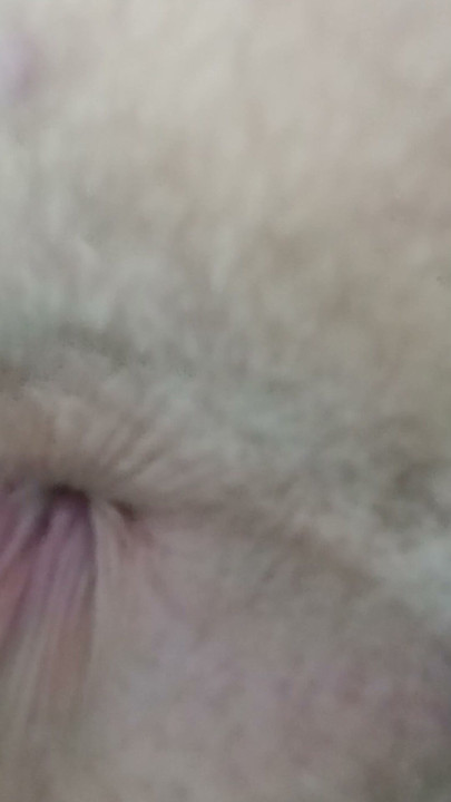 Femboy memamerkan pantat merahnya di internet