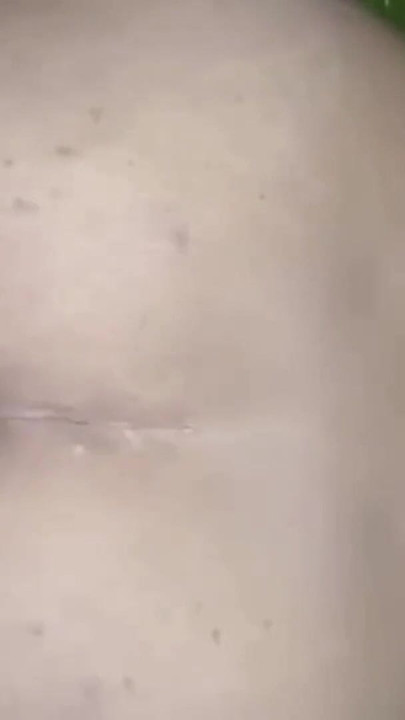 Must-share moment from "Stepsister give blowjob service her stepbrother before fucking"