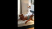 Pregled videozapisa