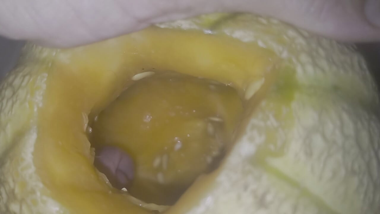 Melon fuck