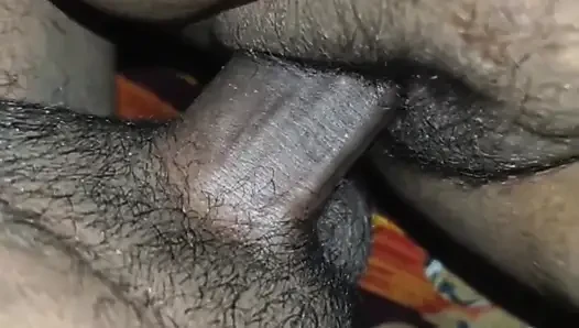 My Sister-in-law's Love