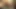 Alttan domaltmalı dölleme yakın çekim döl damlıyor 4k