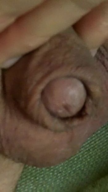 Charlie Johnson's interseks trekt zich in de clitorisachtige penis bovenop ballen