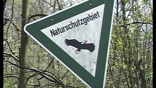 Deutscher hardcore