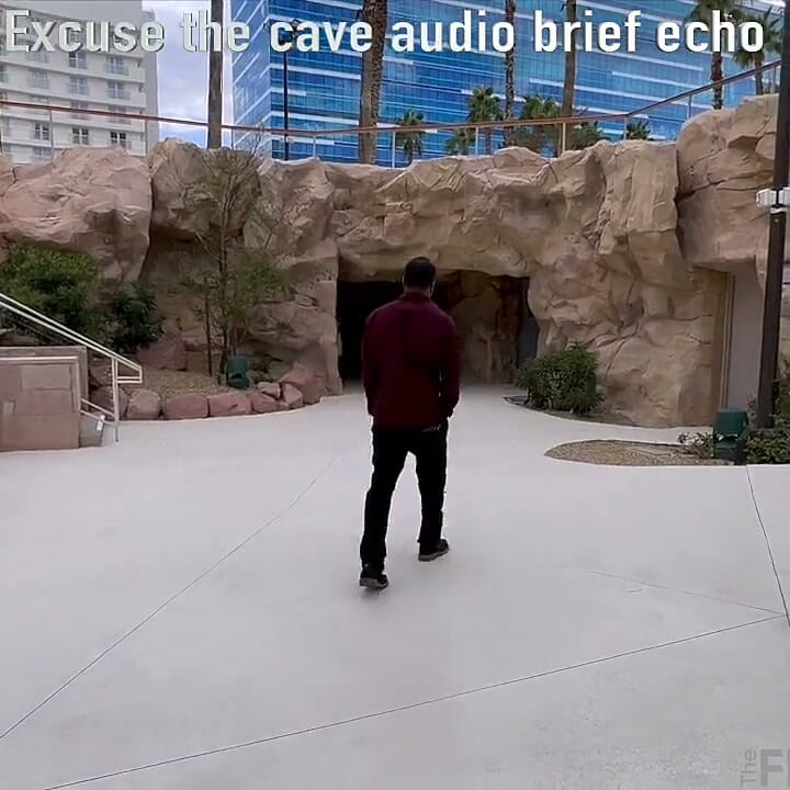 I Will Give up My Ass to Save Our Vacation