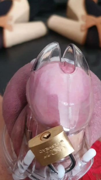 AmateurbSissy cumming in chasity cage from anal play