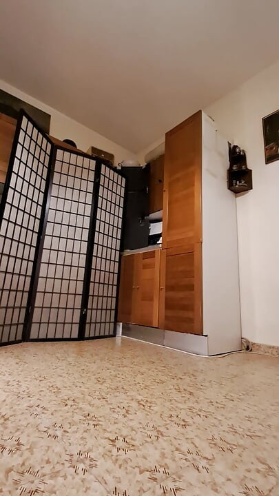 Walk in fluffy pink mules