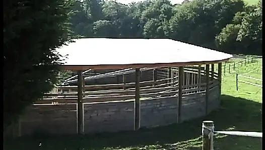 Zwei Schlampen nehmen es hart in den Arsch