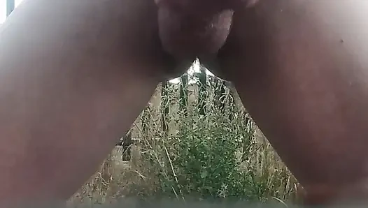 Walenie konia
