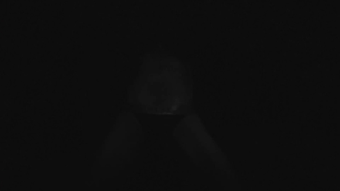 ريكيسلاتر إكس هامستر لايف