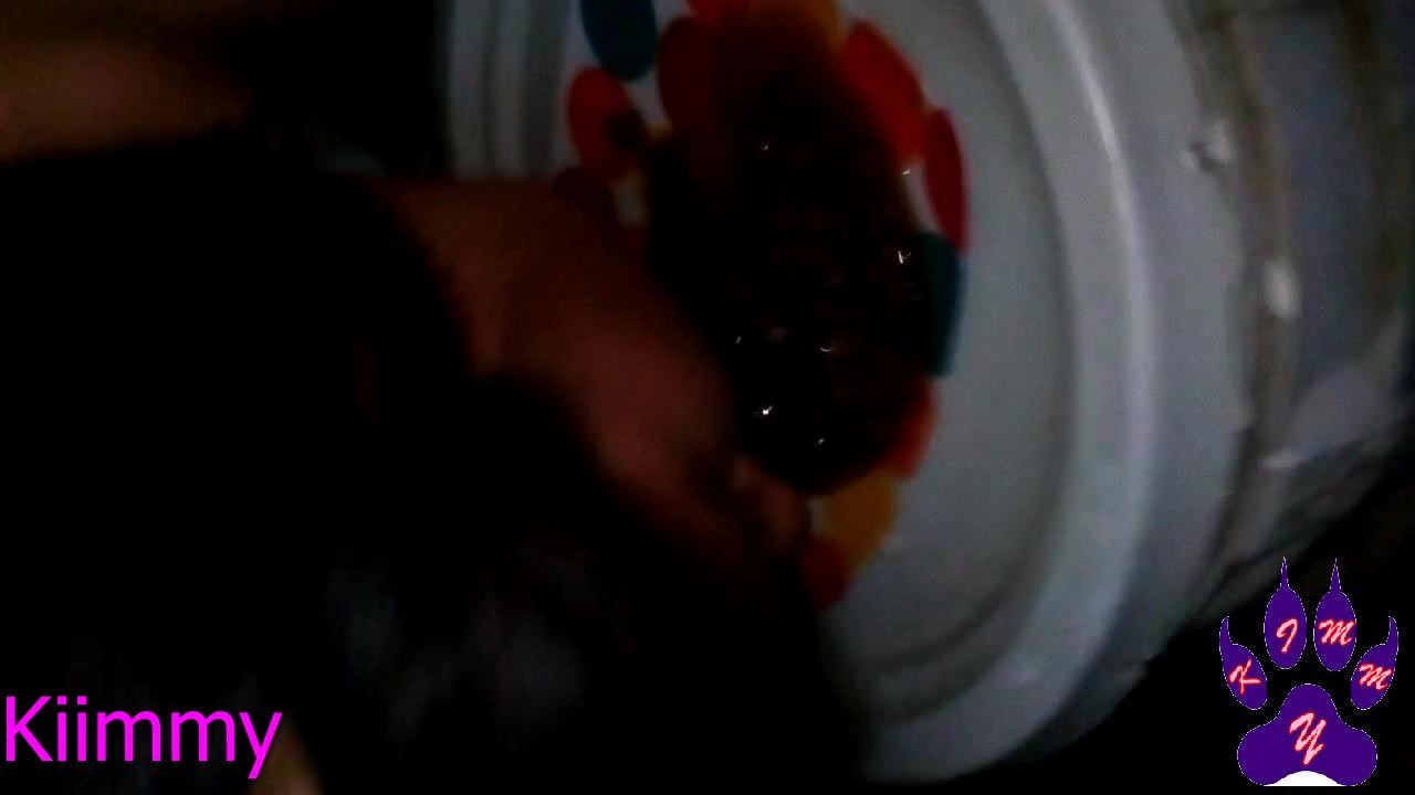 Mangia cibo per cani