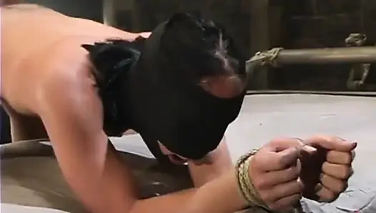 Mark Davis ve Julie Night