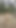 strip in the woods teaser mianinsmia nins