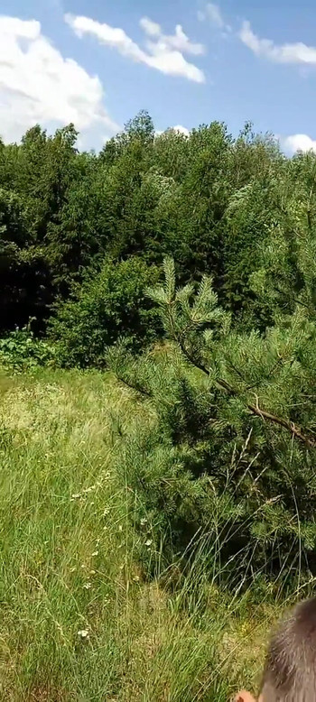 必须分享的时刻从 "一个裸体主义者男人在大自然中撸管"