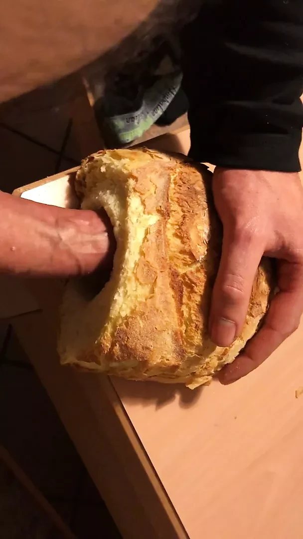 Loaf của bánh mì chết tiệt sự thống trị