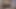 Yeni arkadaşım Kam için özel video!