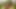 屋外でのドライアナルセックス