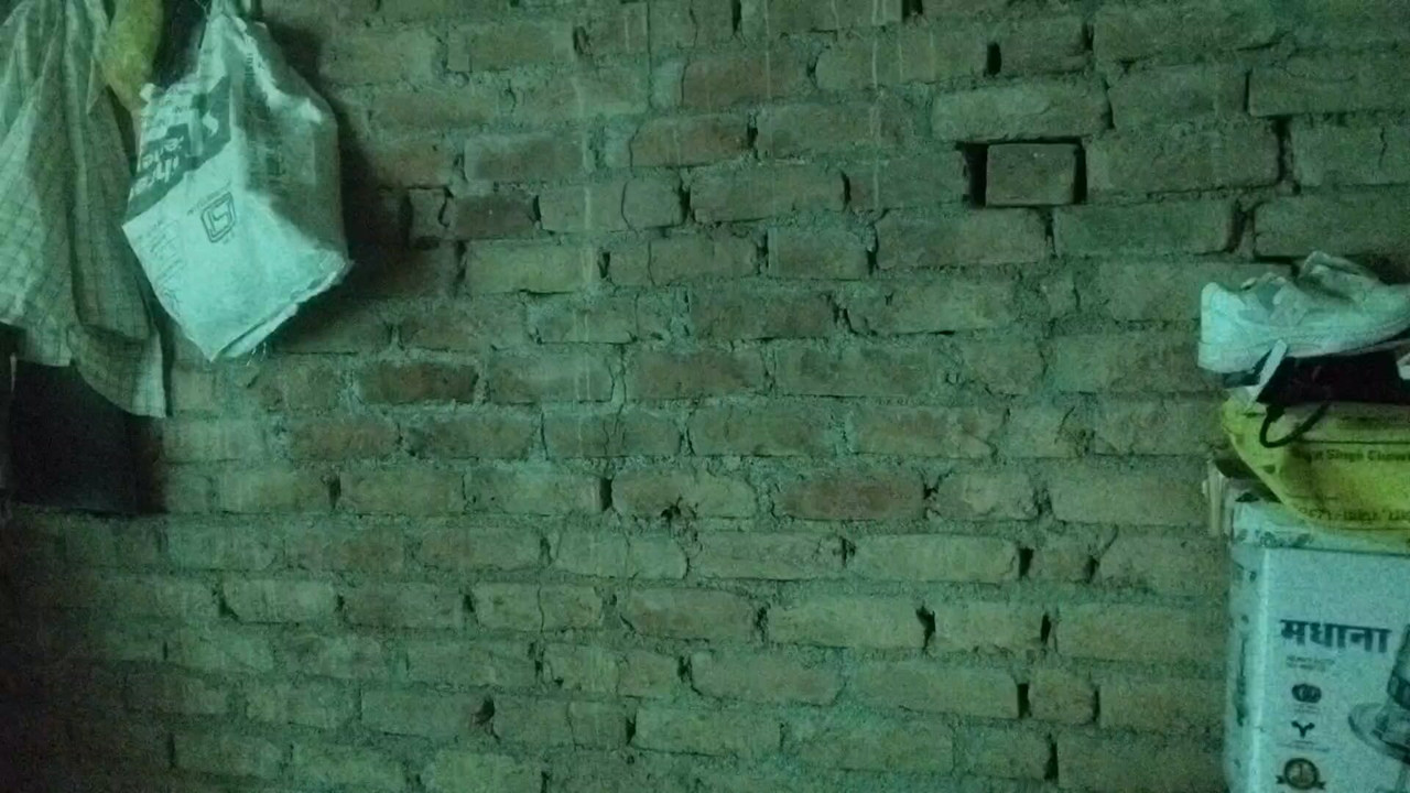 Full punjabi xxx bhabhi