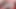 大きな女の子Anastasiaxxxは良いチンポの肉を渇望する