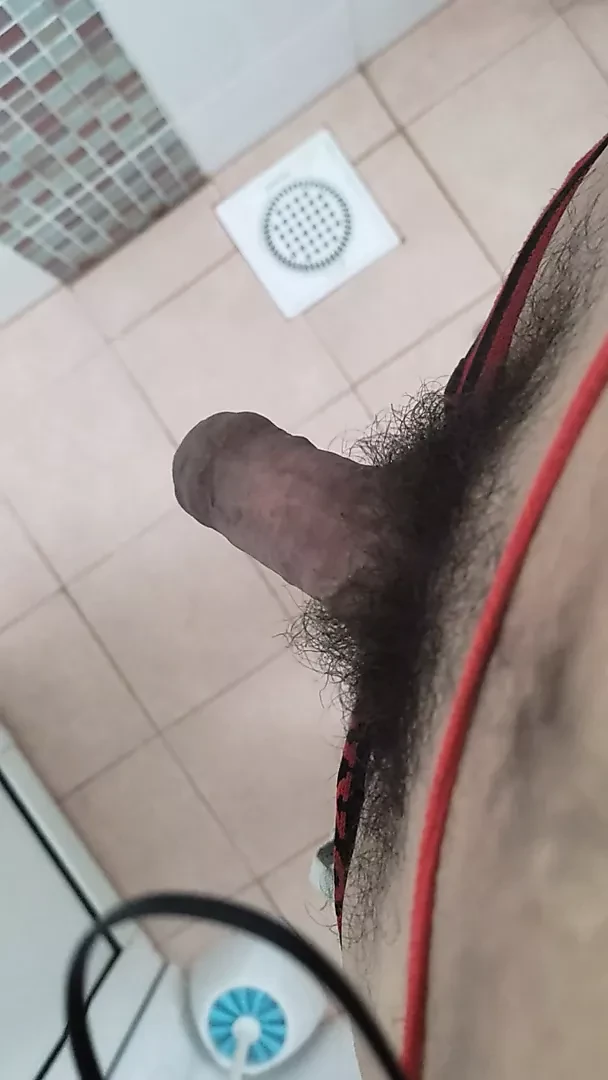 cock rising