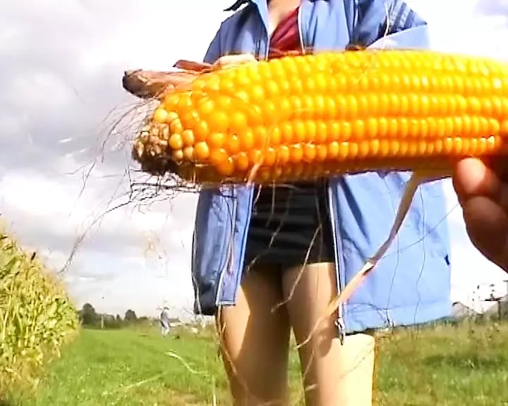 Stunning German lady stuffing a corn in her moist holes
