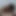 Şanslı adam ateşli oda arkadaşına sahip ve onunla porno çekmek istiyor!