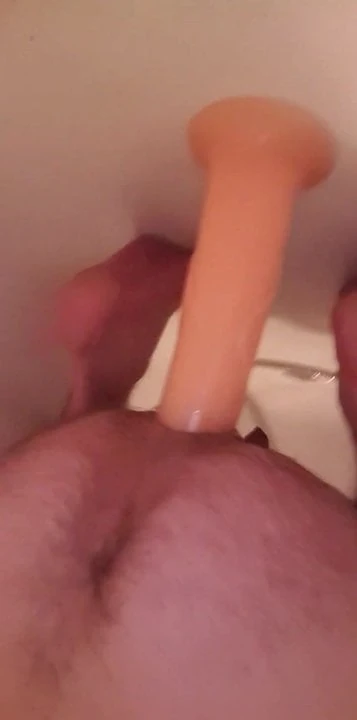 Horse Dildo