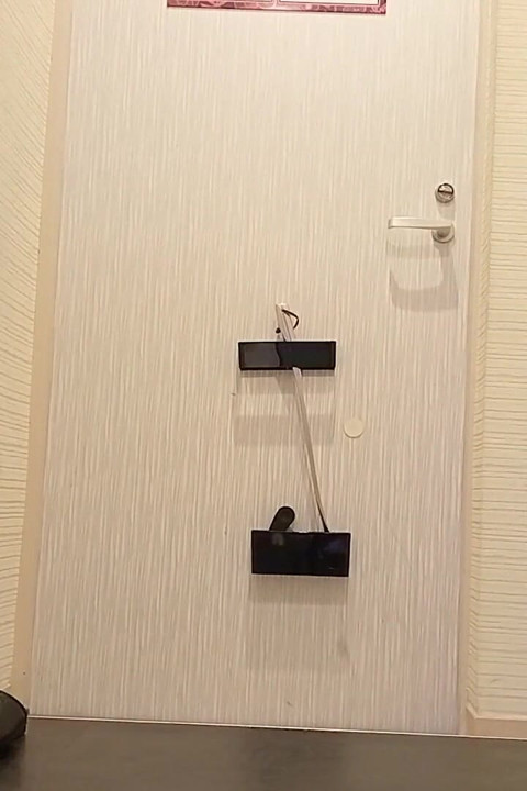 Japanese Mature Woman Peeing at the Entrance