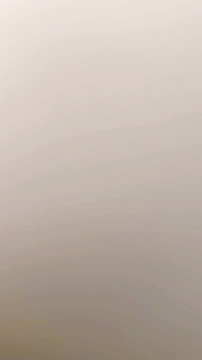 Подчинена робиня датчанка