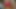 Deshi wife sex video 100% real sex video