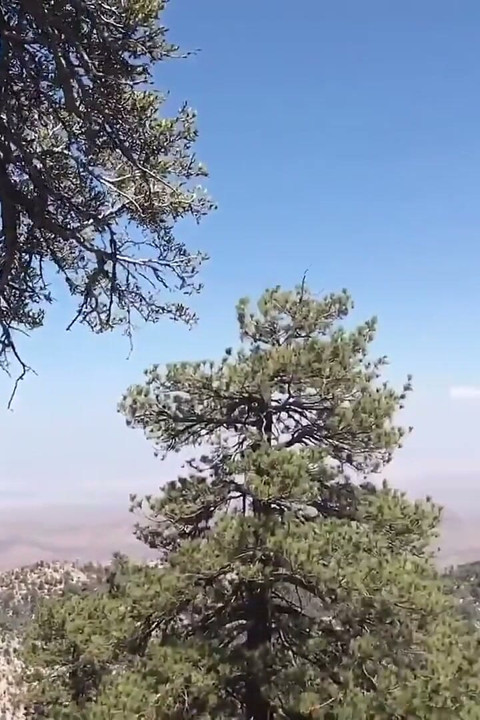 Fuck My Chinese Girlfriend in the Mountain Then in the Bedroom