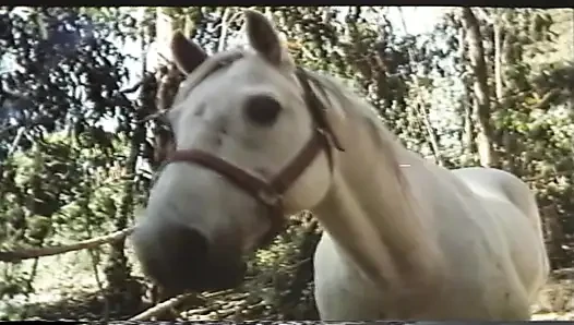 The Golden Age of Porn – Desiree Cousteau