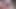 Hot solo cock masturbation with moans and big cumshot