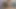 Video 141 - Cumshot Compilation