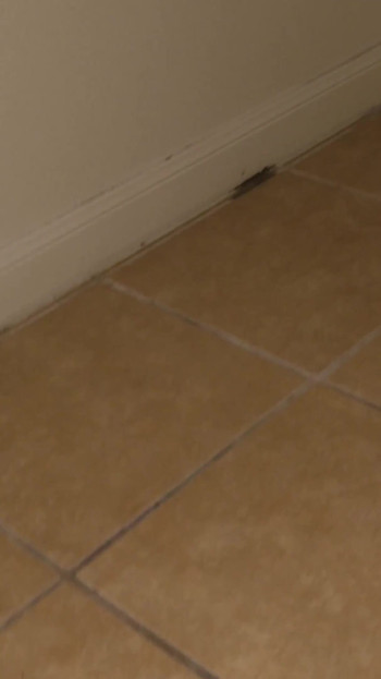 Mckenzie Lee Fucks Her Husband First Time on Video