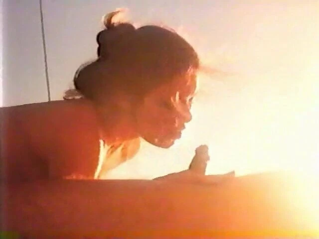 vintage - 1979 - Sunny - 01