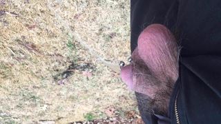 Pierced cock pissing outdoors